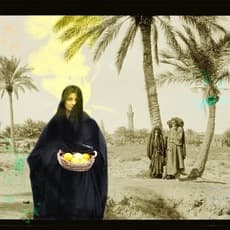 Qahtan Alameen