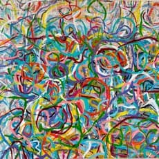 Dorit Shalev Fried