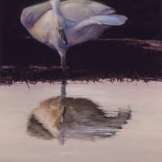 Kent Lovelace