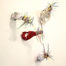 Jieun Lim