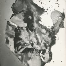 Herbert Matter