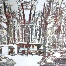 Paul Davies