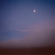 Donna J. Wan