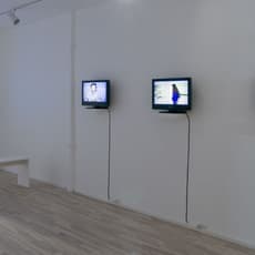 Jaime Davidovich