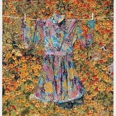 Alfred Seiland