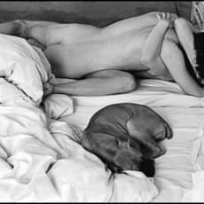 Leonard Freed