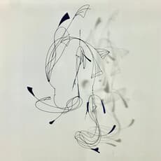 Jeremy Bullis