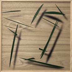 ZHAO Yu