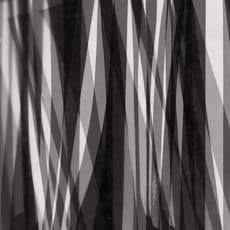 Lois Field