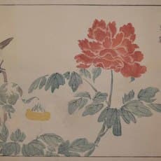 Kitao, Masayoshi
