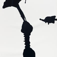 Anna Maria Maiolino, Untitled (1999) by Anna Maria Maiolino