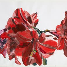 Inge Ellegaard