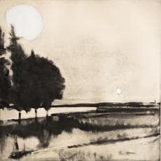 Elizabeth Higgins