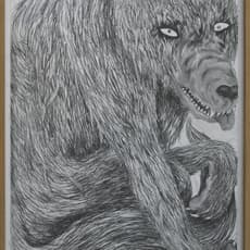 Silas Inoue