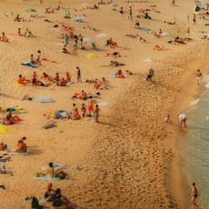 Eric Zener