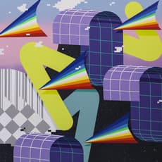 Muro