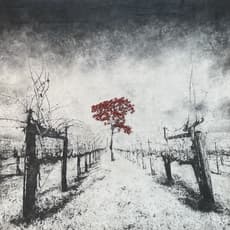 Antoine Josse