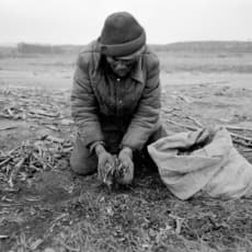 Wang Bing