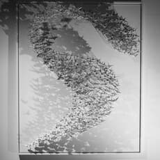Benjamin Gaumard