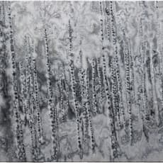 Shao-Yen CHEN