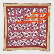 Sanford Biggers