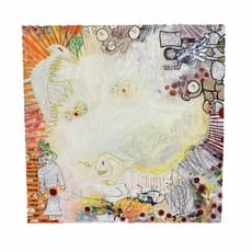 Amy Wolf