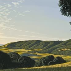 David Ligare