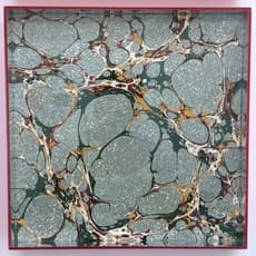 Cathy Haynes