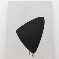 Emilie Ding