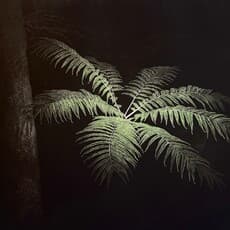 Lucile Soussan