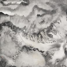 Ruyi 如一