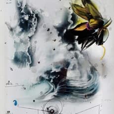 Donato Piccolo