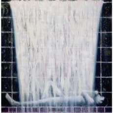 Simon Evertz