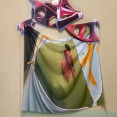 Salomé Chatriot