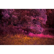 Erik Madigan Heck