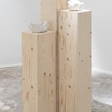 Corinne Felgate