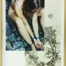 Iris Andraschek