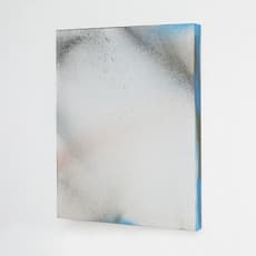 Fay Shin