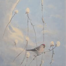 Astrid W. Liljefors