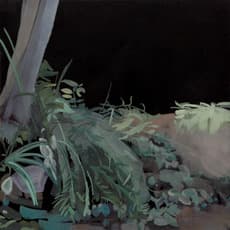 Kelly S Williams