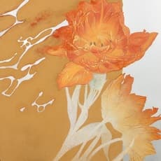 Megumi Aoki