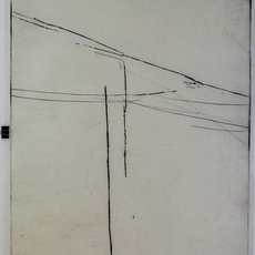 Elisa Bracher