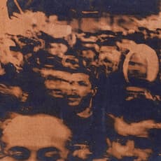 Sari Tarazi