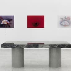 Delphine Coindet