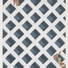 Cynthia Talmadge