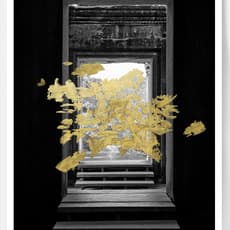 Andrea Alkalay