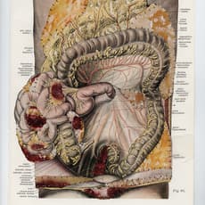 Kathryn Parker Almanas