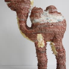 Karen Tam