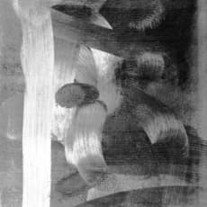 Elias Wessel