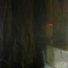 Hollis Heichemer